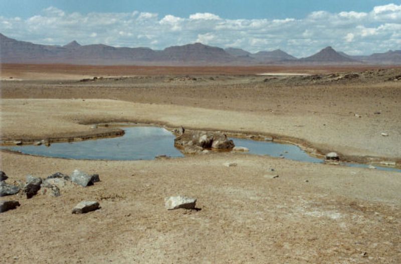 Einsame Quelle in der Namib - Wüste